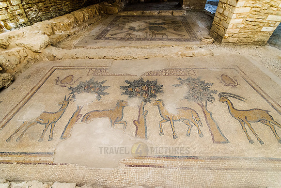 Byzantine mosaic, MADABA, Jordan