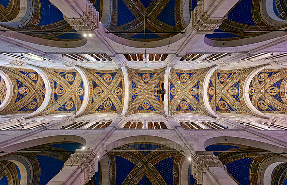 ornate ceiling of Cathedral San Martino of Lucca
