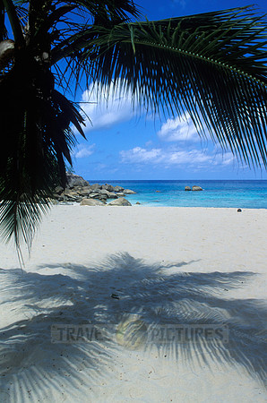 white beach and palms at "Anse Soleil"