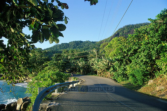 street passing forest along coastline of Mahe Island