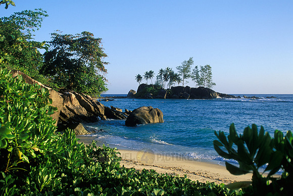 beach, rocks and palms at "Port Glaud", Mahe Island