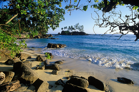 beach, rocks and palms at "Port Glaud", Mahe Island
