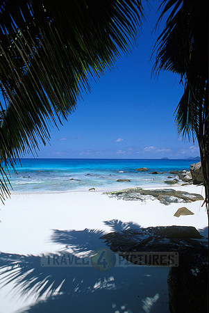 white beach and palms at "Petite Anse", Mahe