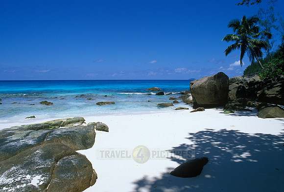 white beach, rocks and palms at "Petite Anse", Mahe Island