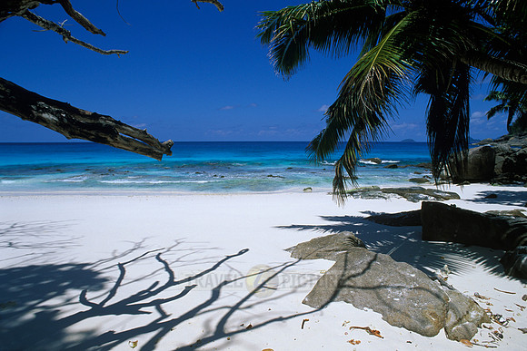white beach, rocks and palms at "Petite Anse", Mahe Island