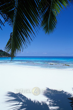 white beach and palms at "Petite Anse", Mahe Island