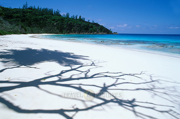 white beach and palms at "Petite Anse", Mahe Island