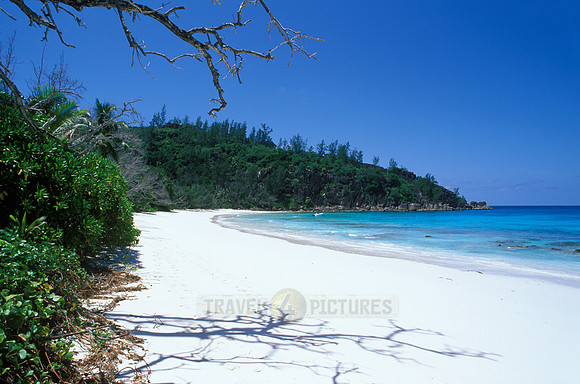 white beach and palms at "Petite Anse", Mahe Island