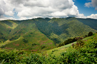 border of Bwindi Impenetrable National Park