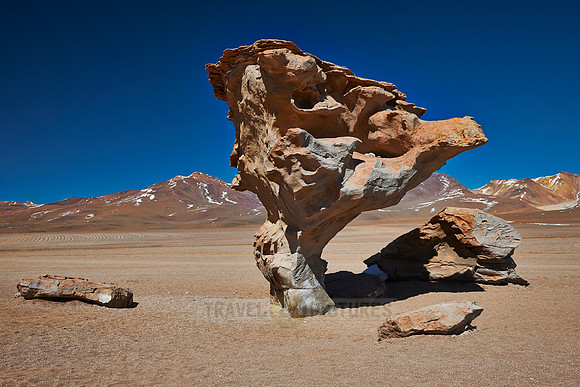 Arbol de Piedra rock