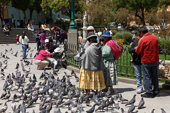 locals feeding pigeons, Plaza Murillo