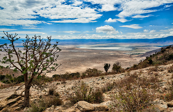 view from the rim into the Ngorongoro crater