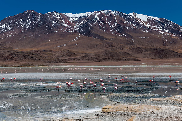 laguna hedionda