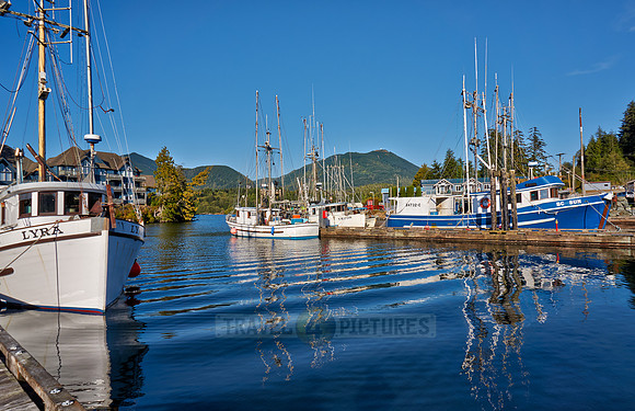 vessels in harbour of Ucluelet