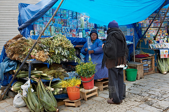 Mercado de Hechiceria