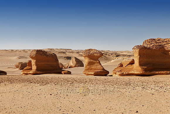 desert landscape at Wadi Hitan