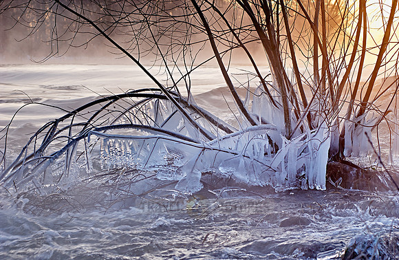 landscape shots of the Roer River in winter