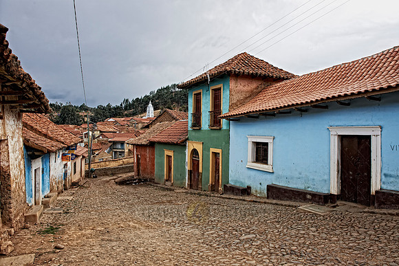 Totora