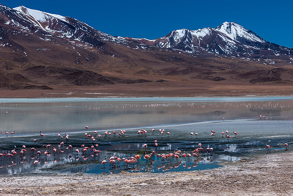 laguna hedionda