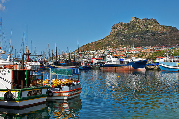 harbour of Hout Bay