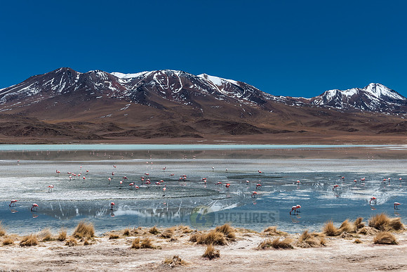 laguna hedionda