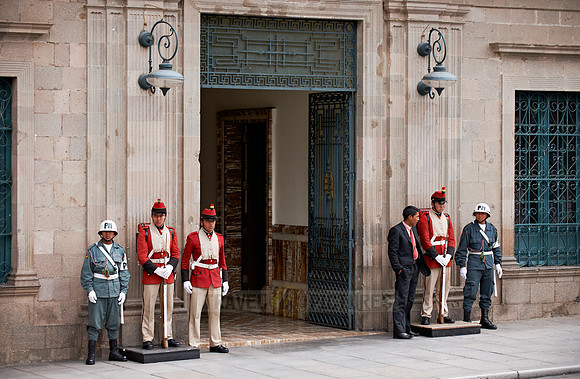 Presidential guard