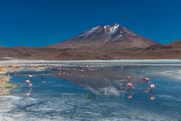 laguna hedionda
