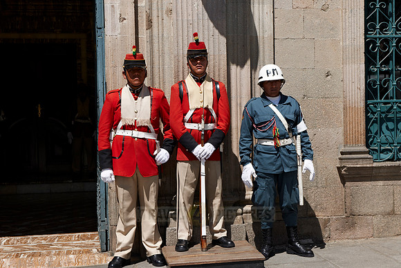 Presidential guard