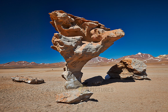Arbol de Piedra rock