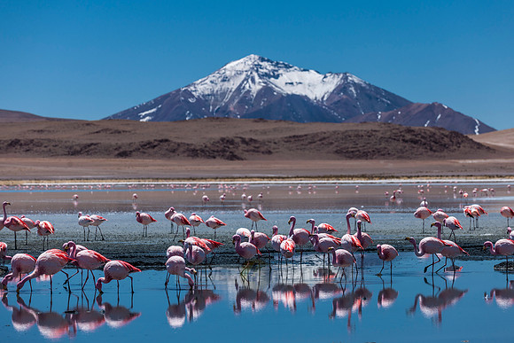 laguna hedionda