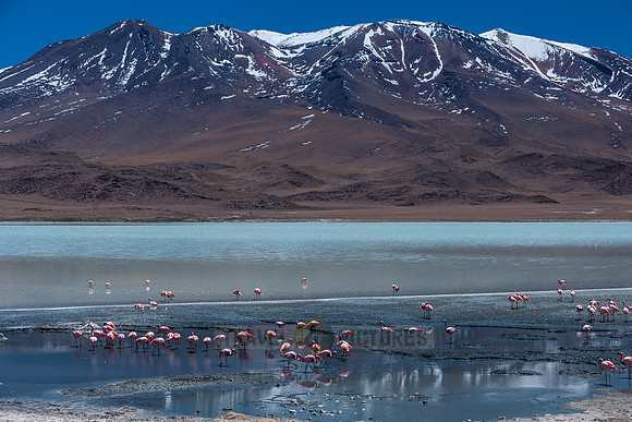 laguna hedionda