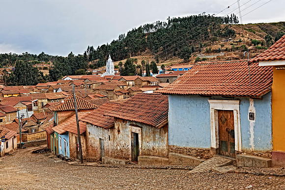 Totora