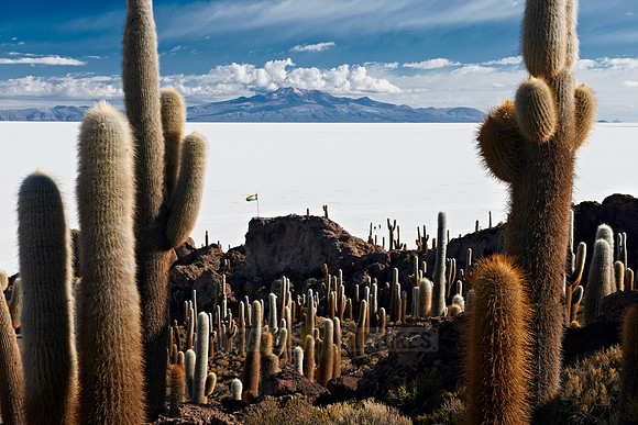 Inkahuasi Island, Salar de Uyuni