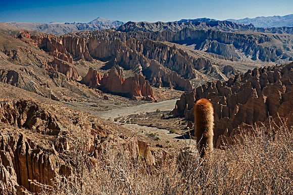 El Silla, erosion landscape