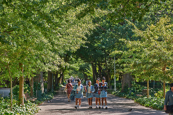 The Company Gardens
