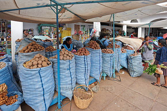 Mercado Central de Sucre