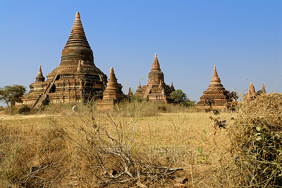pagodas in the plain