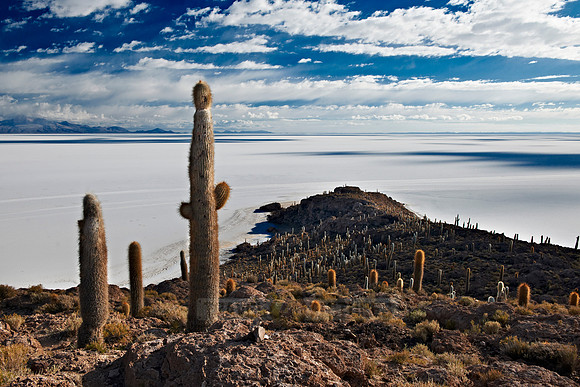 Inkahuasi Island, Salar de Uyuni
