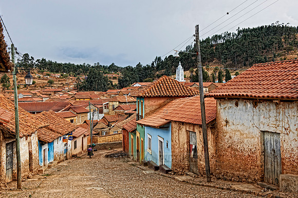 Totora