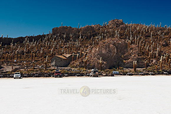 Inkahuasi Island, Salar de Uyuni
