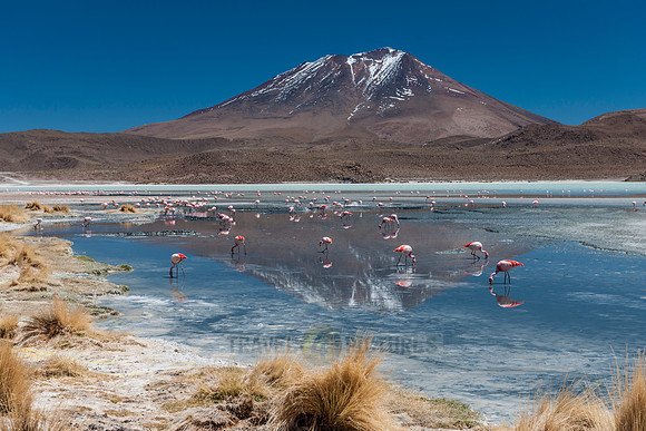 laguna hedionda