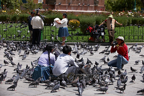 locals making pictures with pigeons, Plaza Murillo