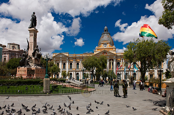pigeons, statue of president and parliament building