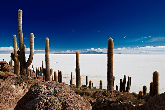 Inkahuasi Island, Salar de Uyuni