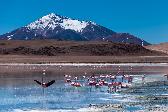 laguna hedionda