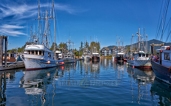 vessels in harbour of Ucluelet