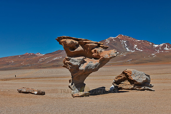 Arbol de Piedra rock