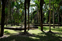 Maya Site Kohunlich