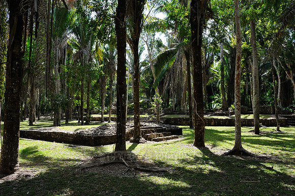 Maya Site Kohunlich