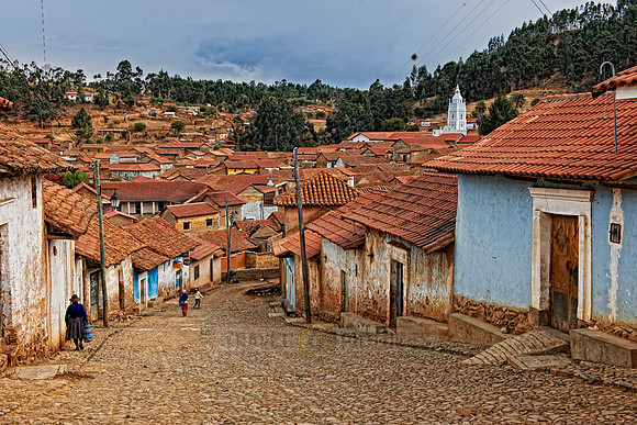 Totora